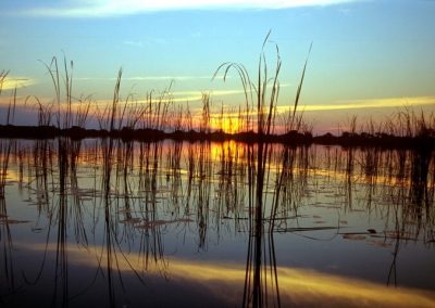 Botswana Sunset by Clint Cooper